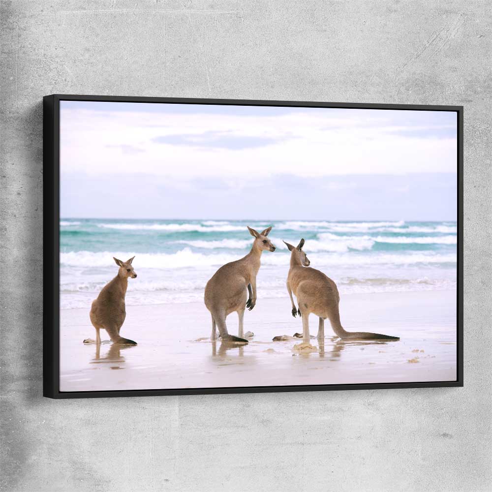 Animal wall art and canvas prints of Kangaroo Couple with black framed canvas