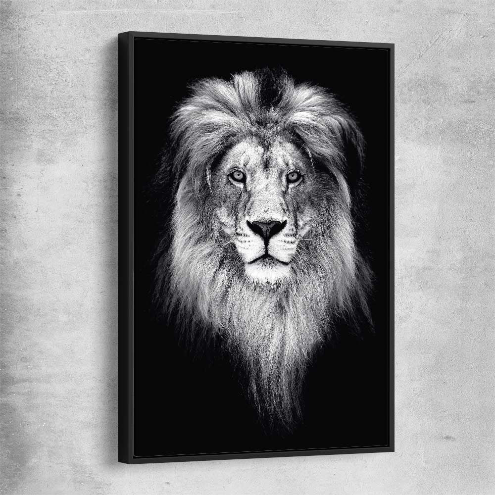 Animal wall art and canvas prints of Lion Gaze with black framed canvas
