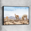 Animal wall art and canvas prints of Llamas in Peru with black framed canvas