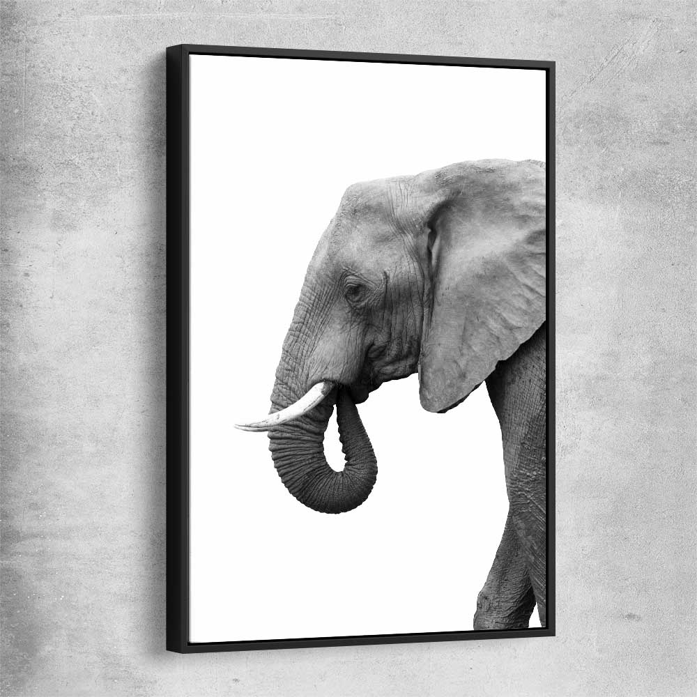 Animal wall art and canvas prints of Lone Elephant with black framed canvas
