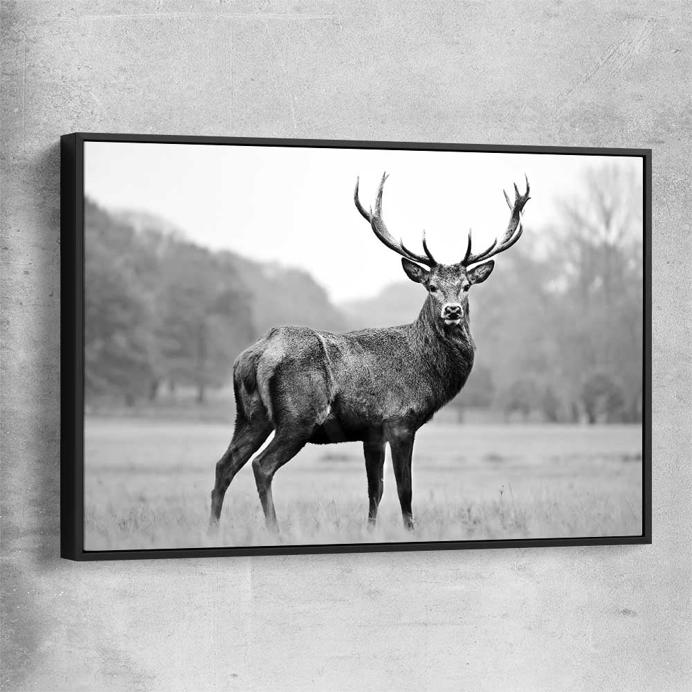 Animal wall art and canvas prints of Majestic Red Deer with black framed canvas