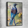 Animal wall art and canvas prints of New Zealand Tui with black framed canvas