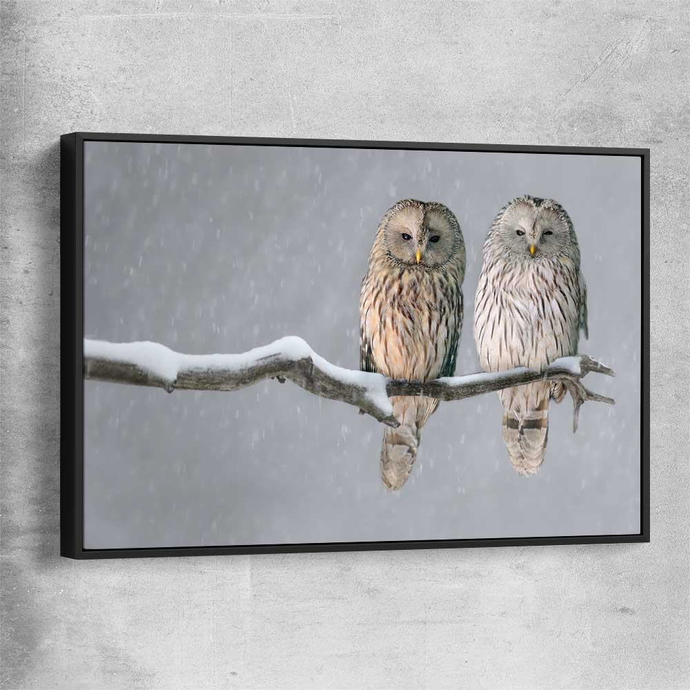 Animal wall art and canvas prints of Perched Owls with black framed canvas