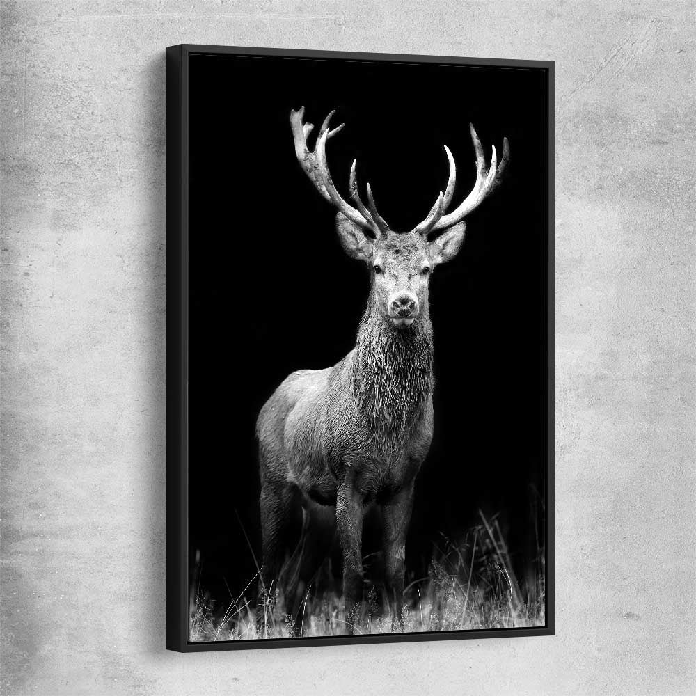 Animal wall art and canvas prints of Red Deer Gaze with black framed canvas
