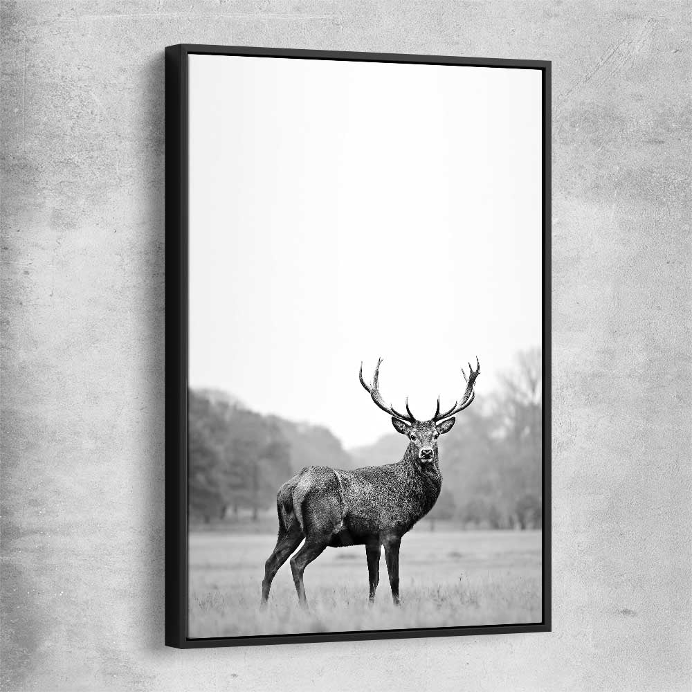Animal wall art and canvas prints of Roaming Deer with black framed canvas