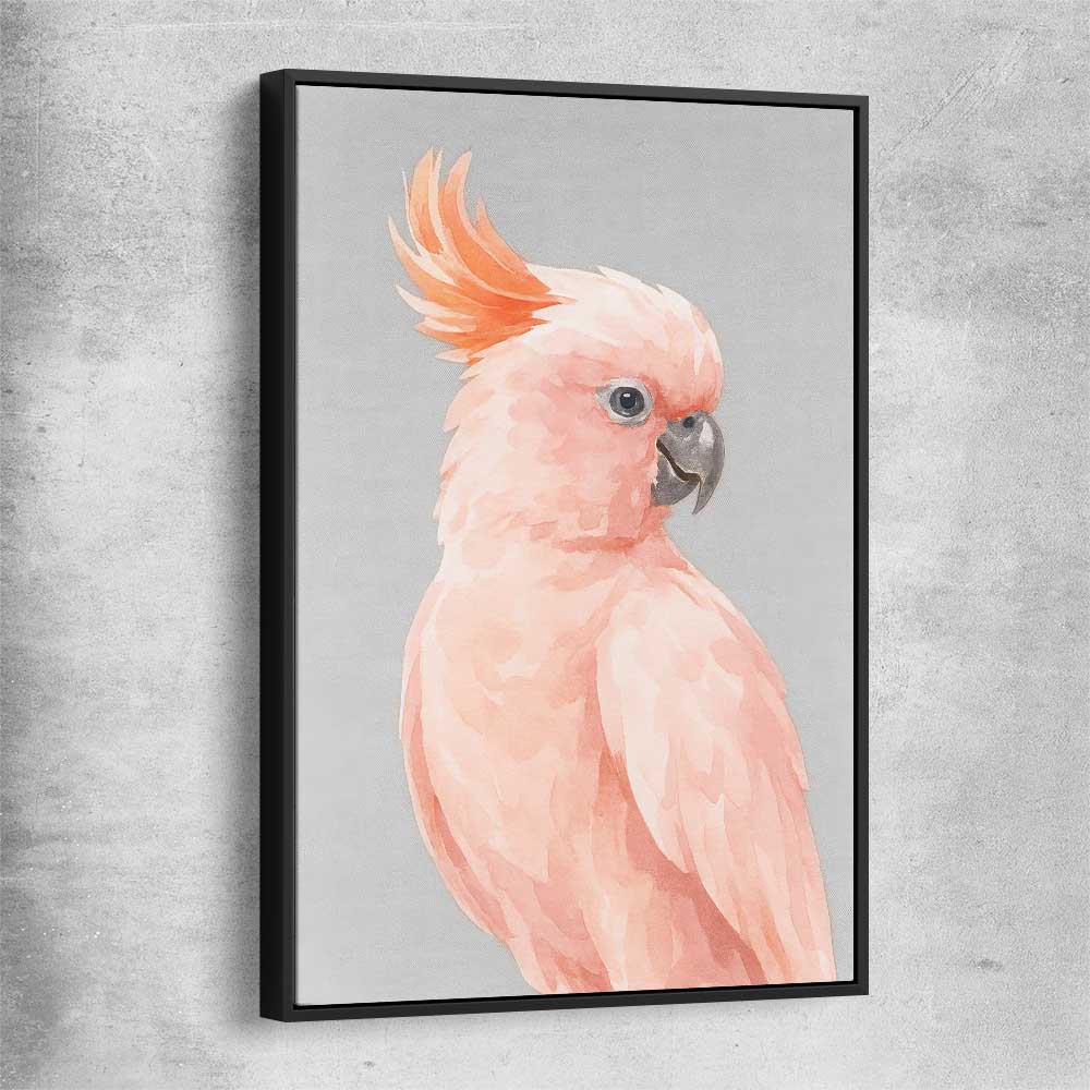 Animal wall art and canvas prints of Salmon-crested Cockatoo with black framed canvas