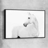 Animal wall art and canvas prints of White Horse with black framed canvas