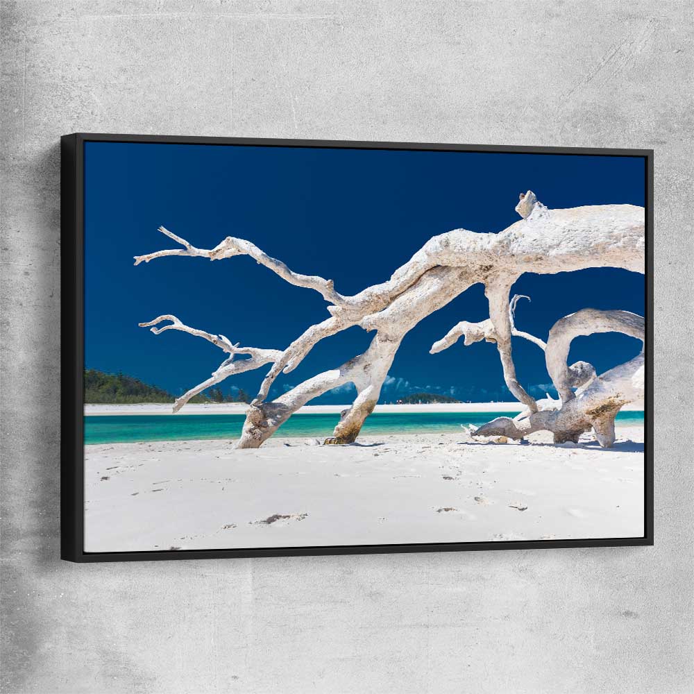 Beach and coastal wall art print of Whitsundays Driftwood with black framed canvas