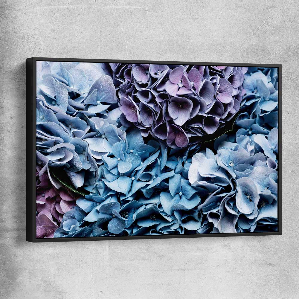 Floral print of Blue Hydrangea with black framed canvas