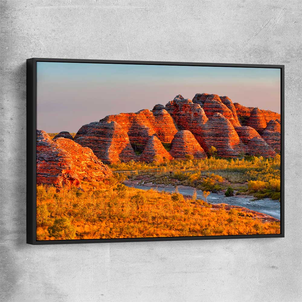 Floral print of Bungle Bungles with black framed canvas
