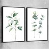 Floral print of Eucalyptus Pair One with black framed canvas