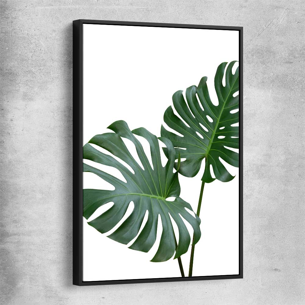 Floral print of Monstera Leaf One with black framed canvas