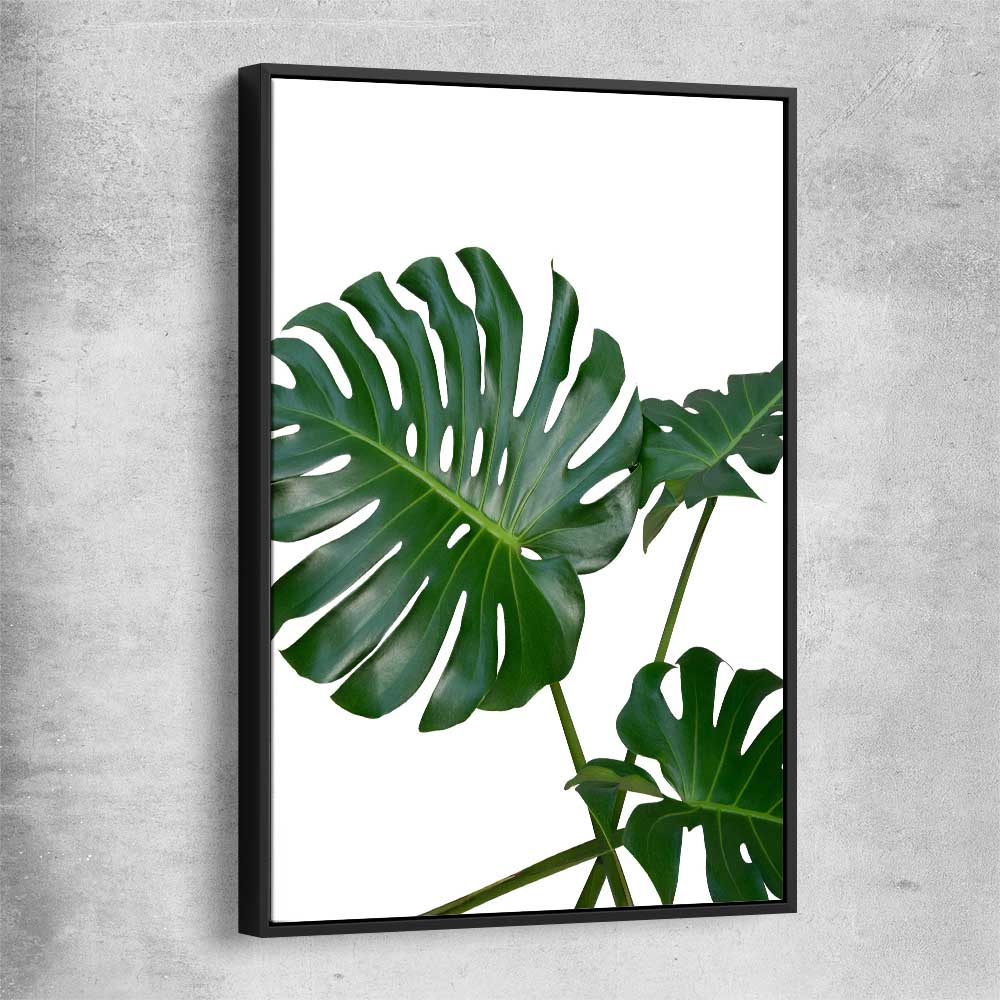 Floral print of Monstera Leaf Two with black framed canvas