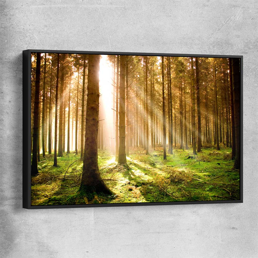 Floral print of Pine Forest Sunrise with black framed canvas