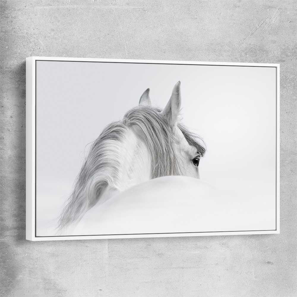 Animal wall art and canvas prints of Andalusian Horse with white framed canvas