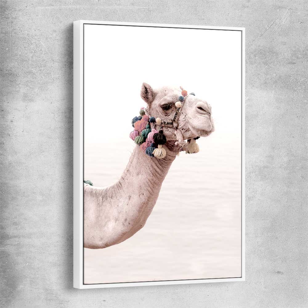 Animal wall art and canvas prints of Bohemian Camel with white framed canvas