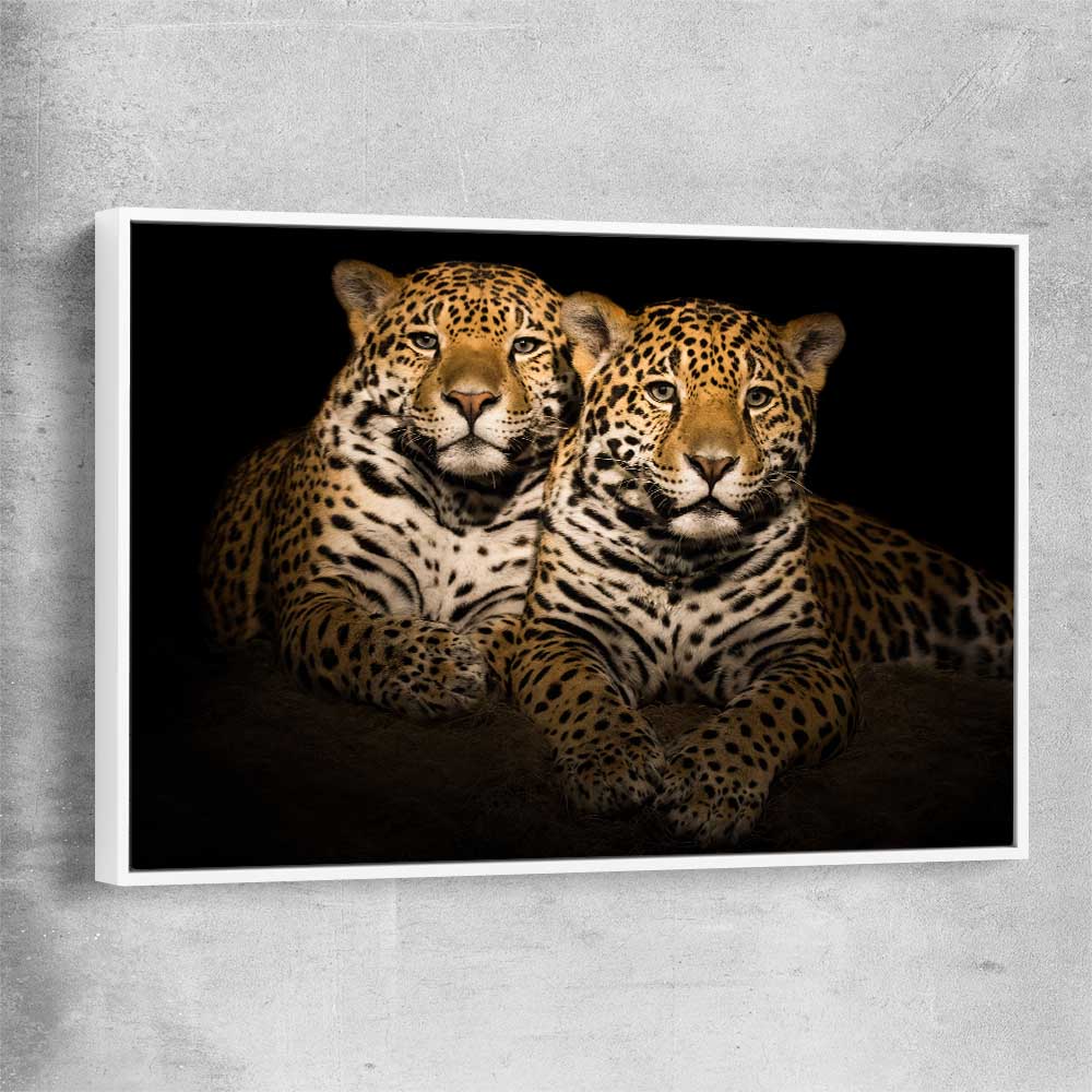 Animal wall art and canvas prints of Calm Jaguar Couple with white framed canvas