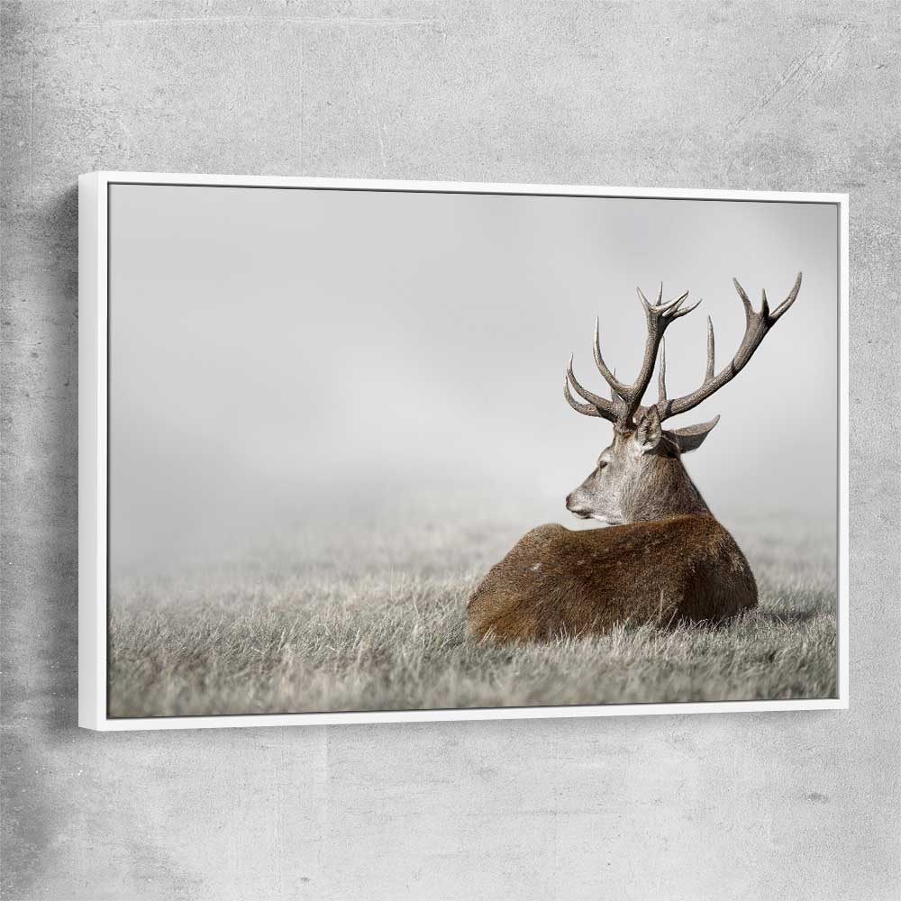 Animal wall art and canvas prints of Deer Solitude with white framed canvas