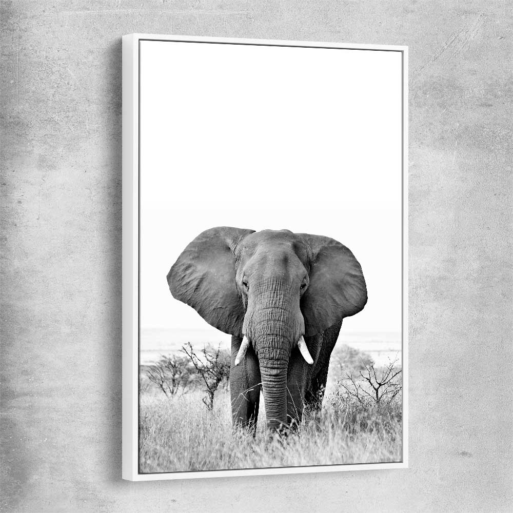 Animal wall art and canvas prints of Elephant Gaze with white framed canvas