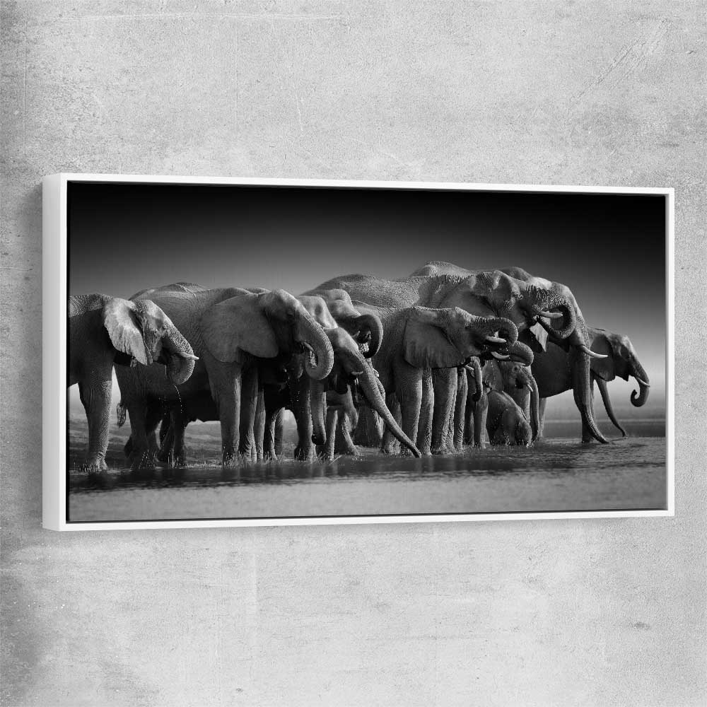 Animal wall art and canvas prints of Elephant Herd with white framed canvas