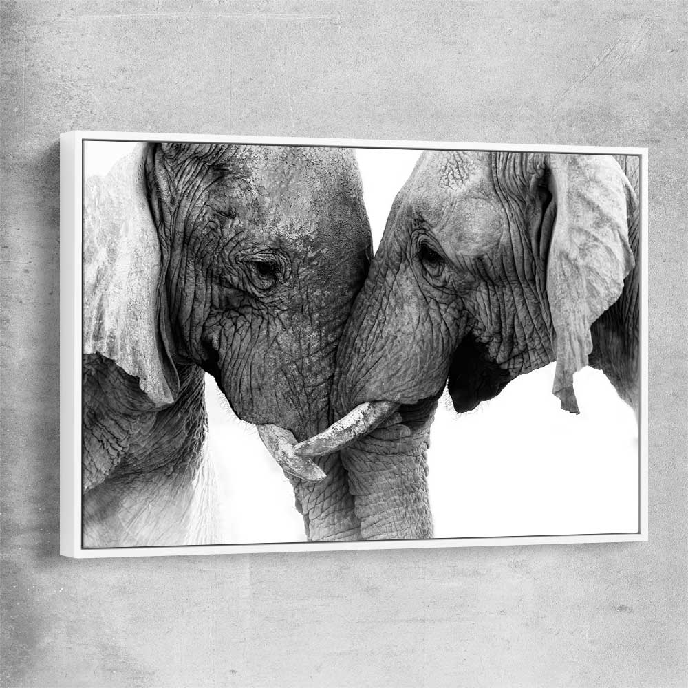 Animal wall art and canvas prints of Elephant Love with white framed canvas