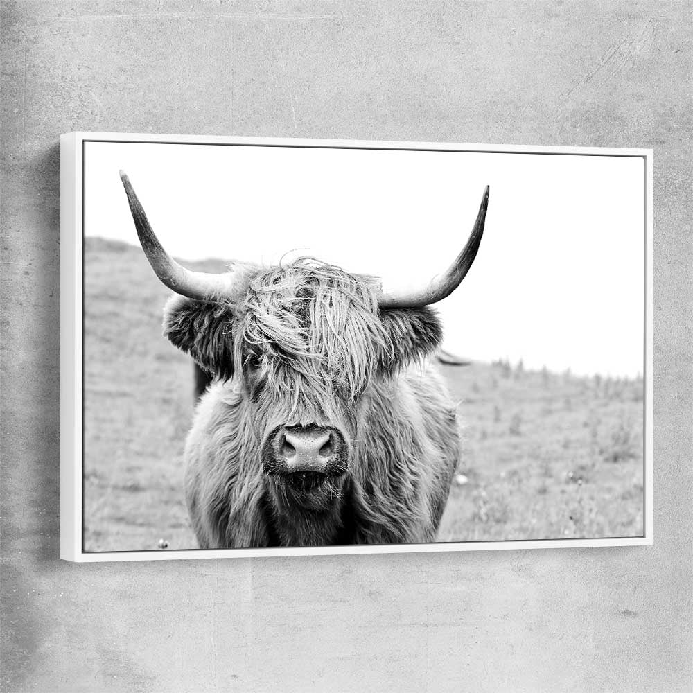 Animal wall art and canvas prints of Highland Hills with white framed canvas