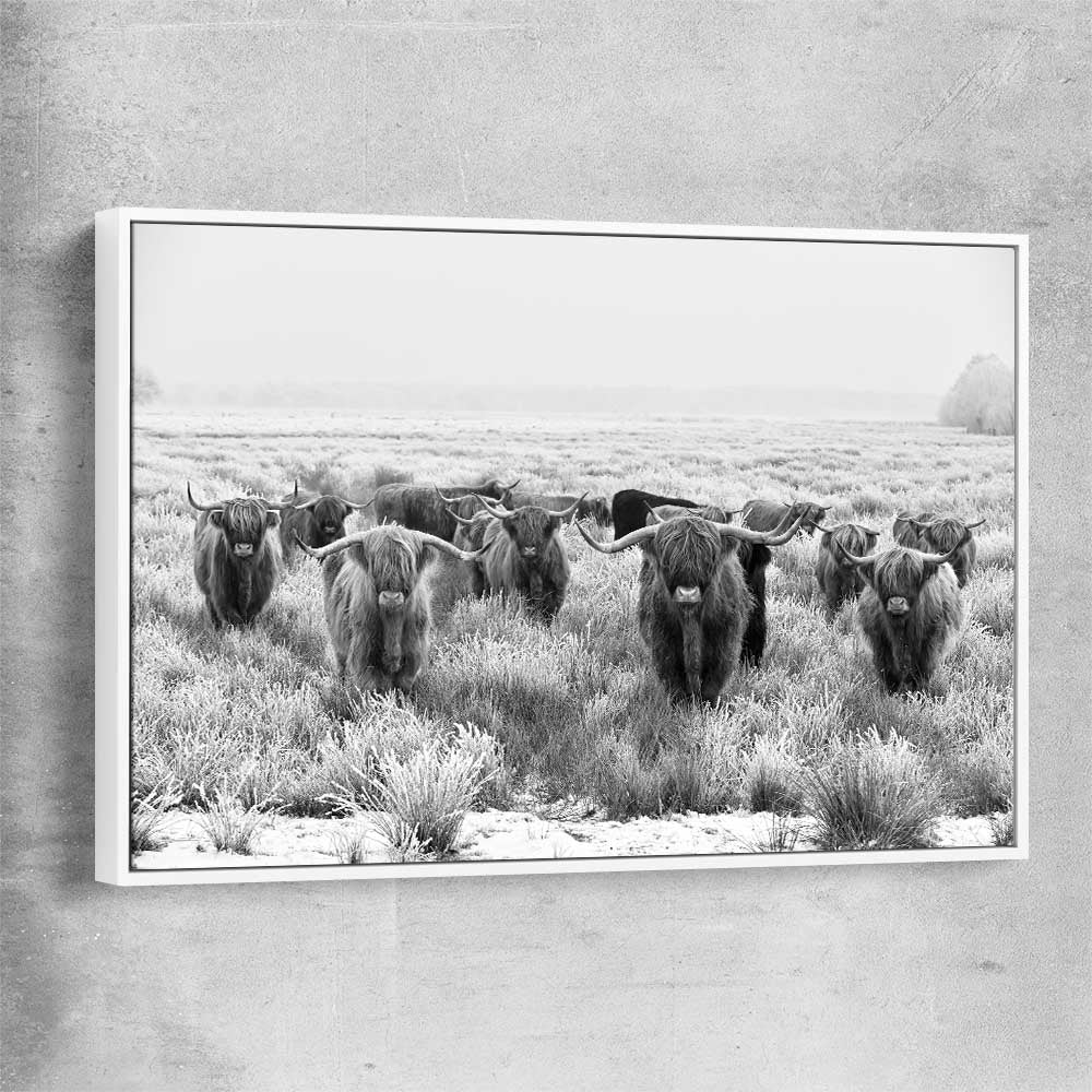 Animal wall art and canvas prints of Highland Monochrome with white framed canvas