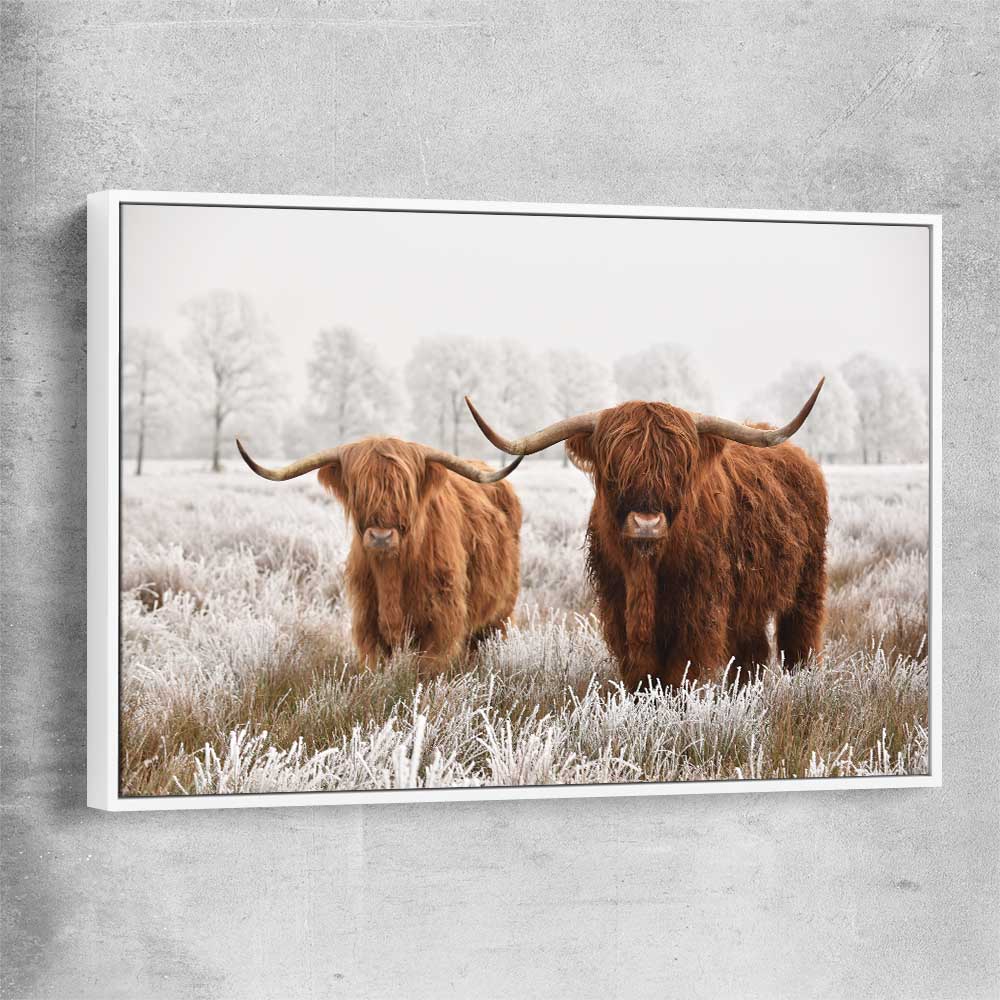 Animal wall art and canvas prints of Highland Pack with white framed canvas