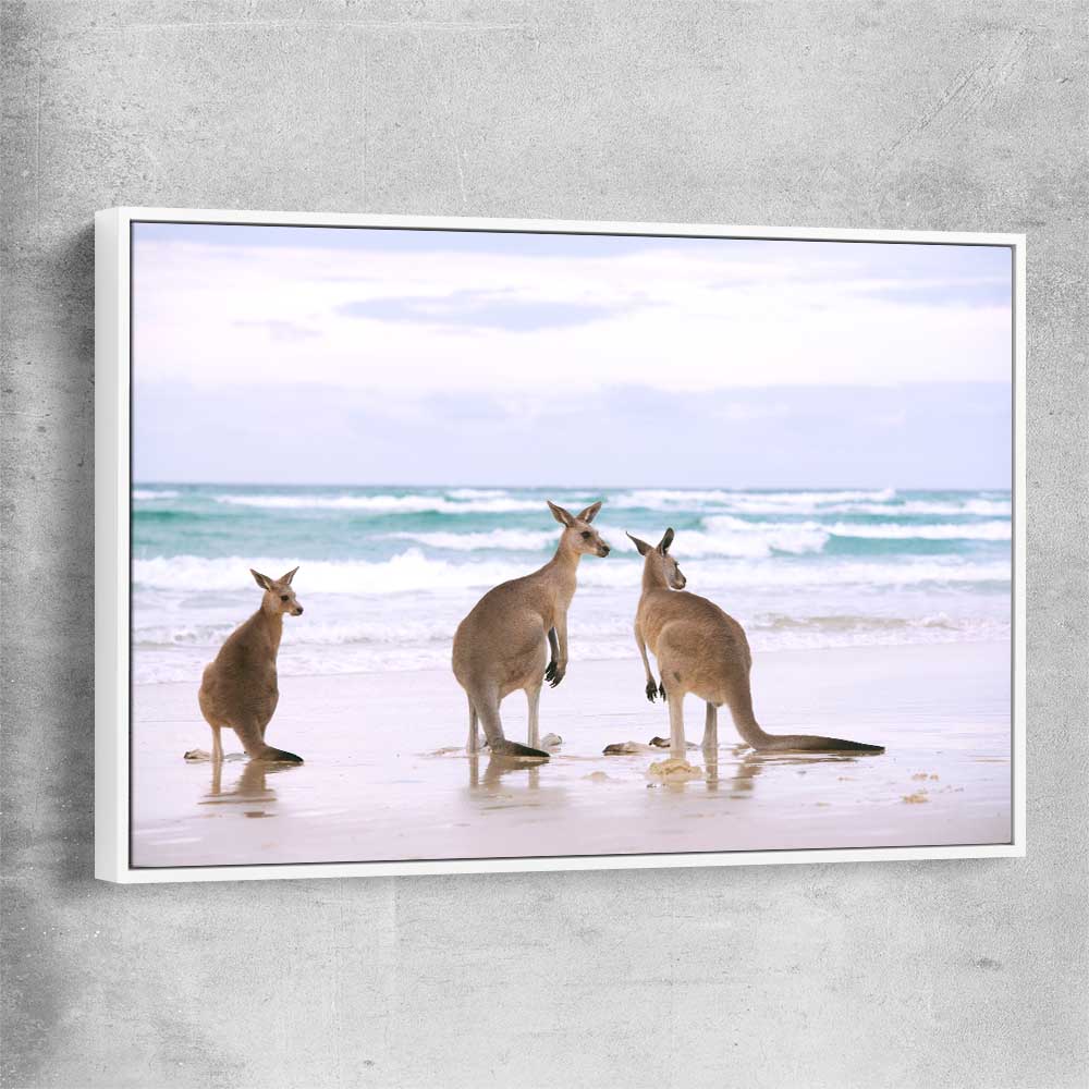Animal wall art and canvas prints of Kangaroo Couple with white framed canvas