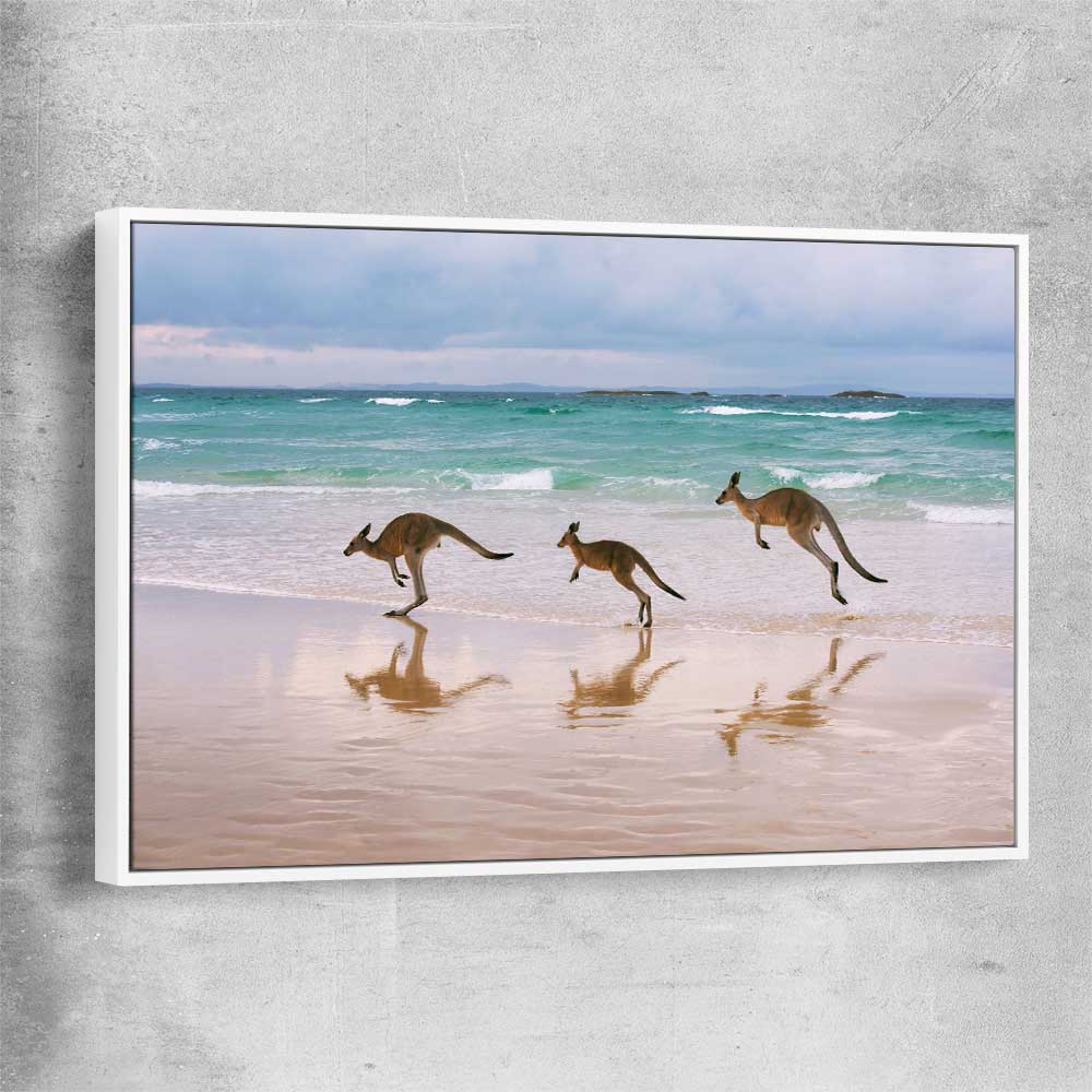Animal wall art and canvas prints of Kangaroo Family with white framed canvas