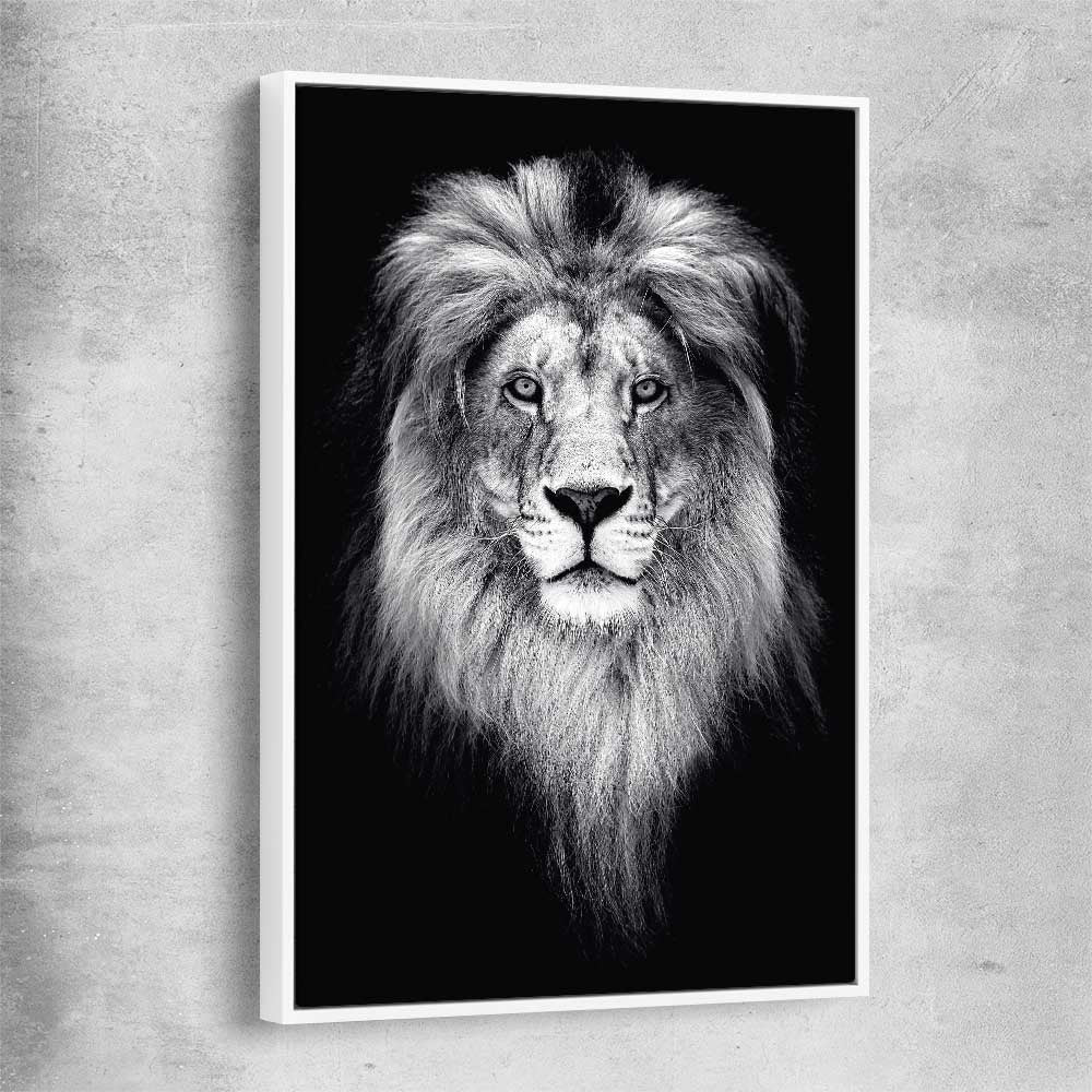 Animal wall art and canvas prints of Lion Gaze with white framed canvas