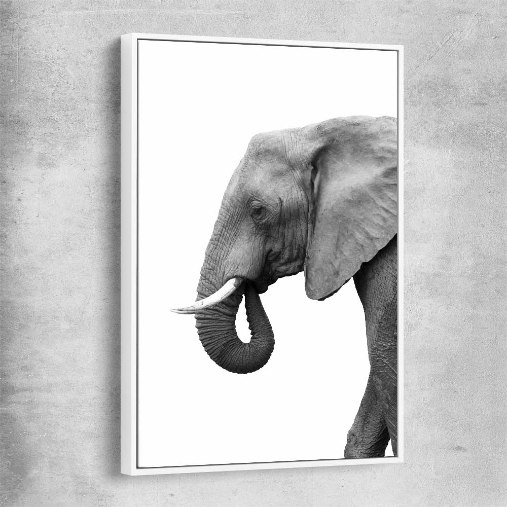 Animal wall art and canvas prints of Lone Elephant with white framed canvas