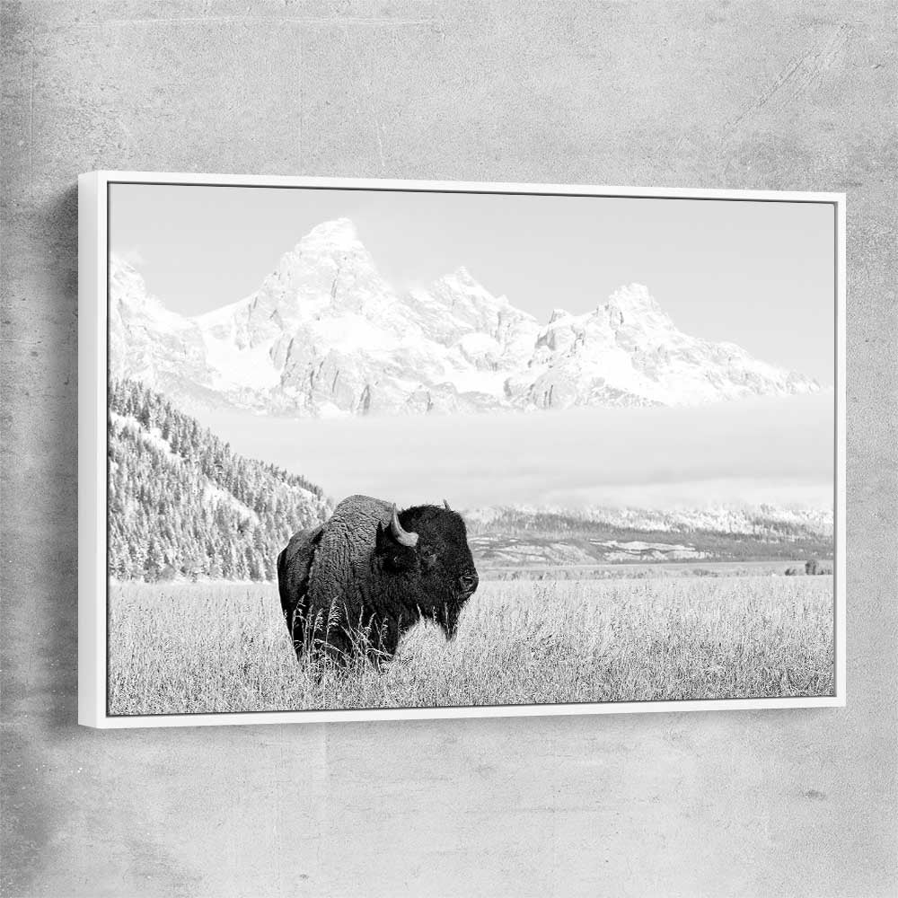 Animal wall art and canvas prints of Mountain Bison with white framed canvas