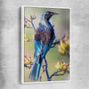 Animal wall art and canvas prints of New Zealand Tui with white framed canvas