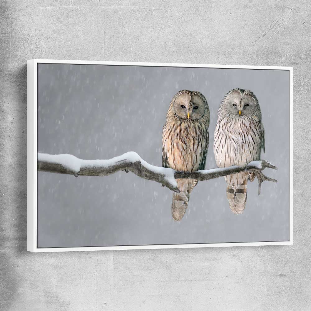 Animal wall art and canvas prints of Perched Owls with white framed canvas