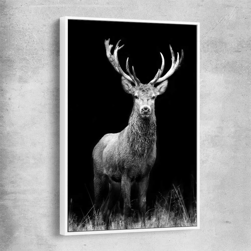 Animal wall art and canvas prints of Red Deer Gaze with white framed canvas