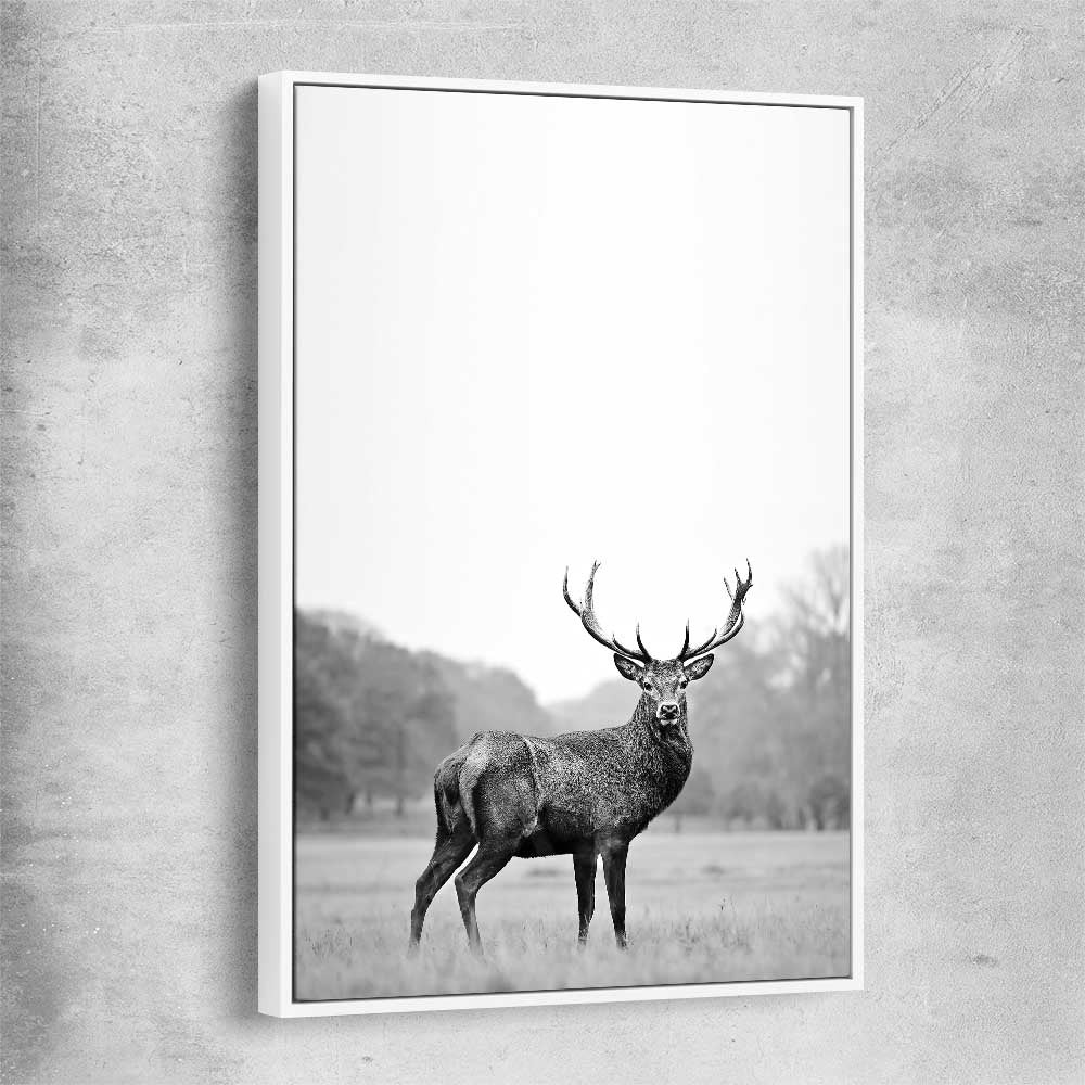 Animal wall art and canvas prints of Roaming Deer with white framed canvas
