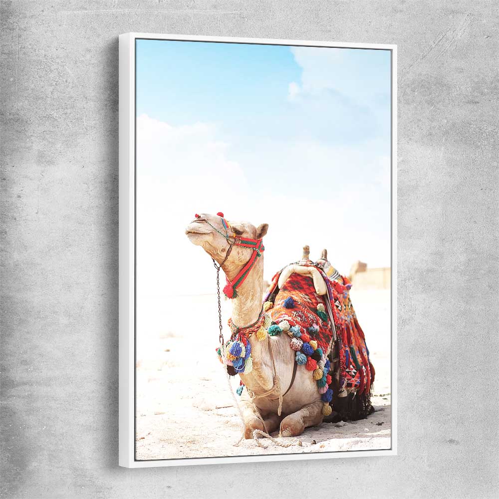 Animal wall art and canvas prints of Vibrant Camel with white framed canvas