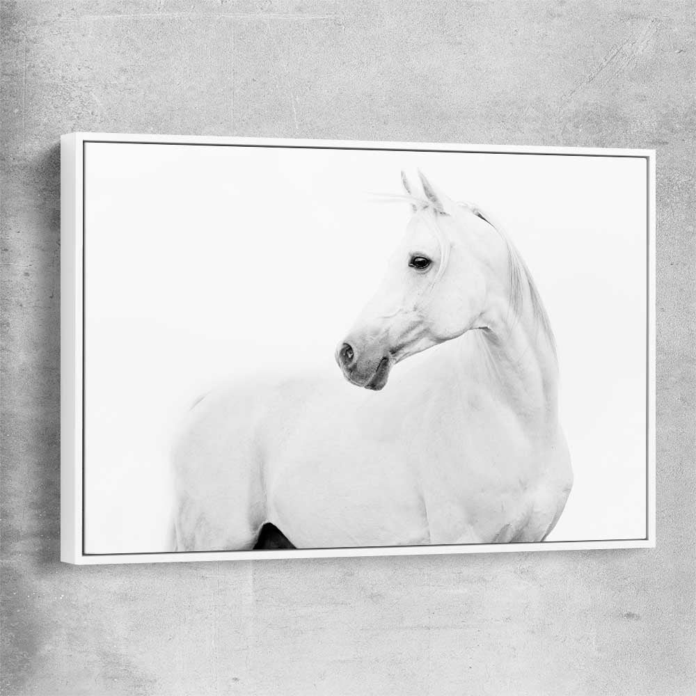 Animal wall art and canvas prints of White Horse with white framed canvas