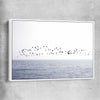 Beach and coastal wall art print of Seagull Flock with white framed canvas