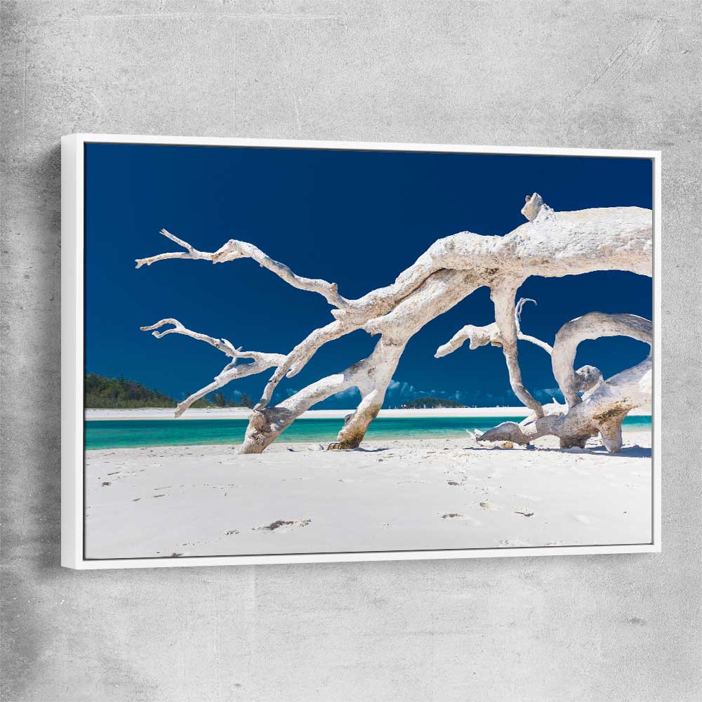 Beach and coastal wall art print of Whitsundays Driftwood with white framed canvas