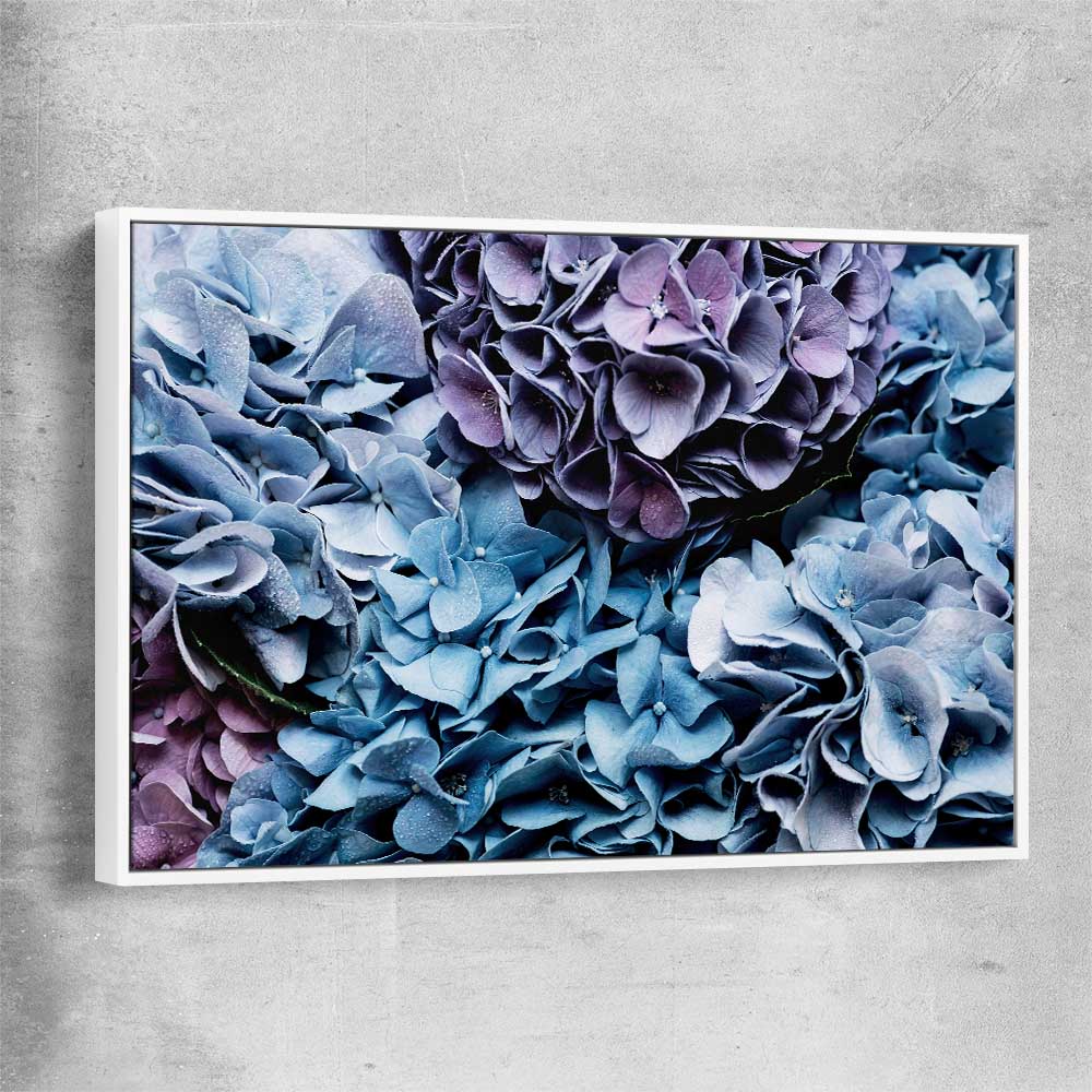 Floral print of Blue Hydrangea with white framed canvas