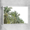 Floral print of Coconut Palms with white framed canvas