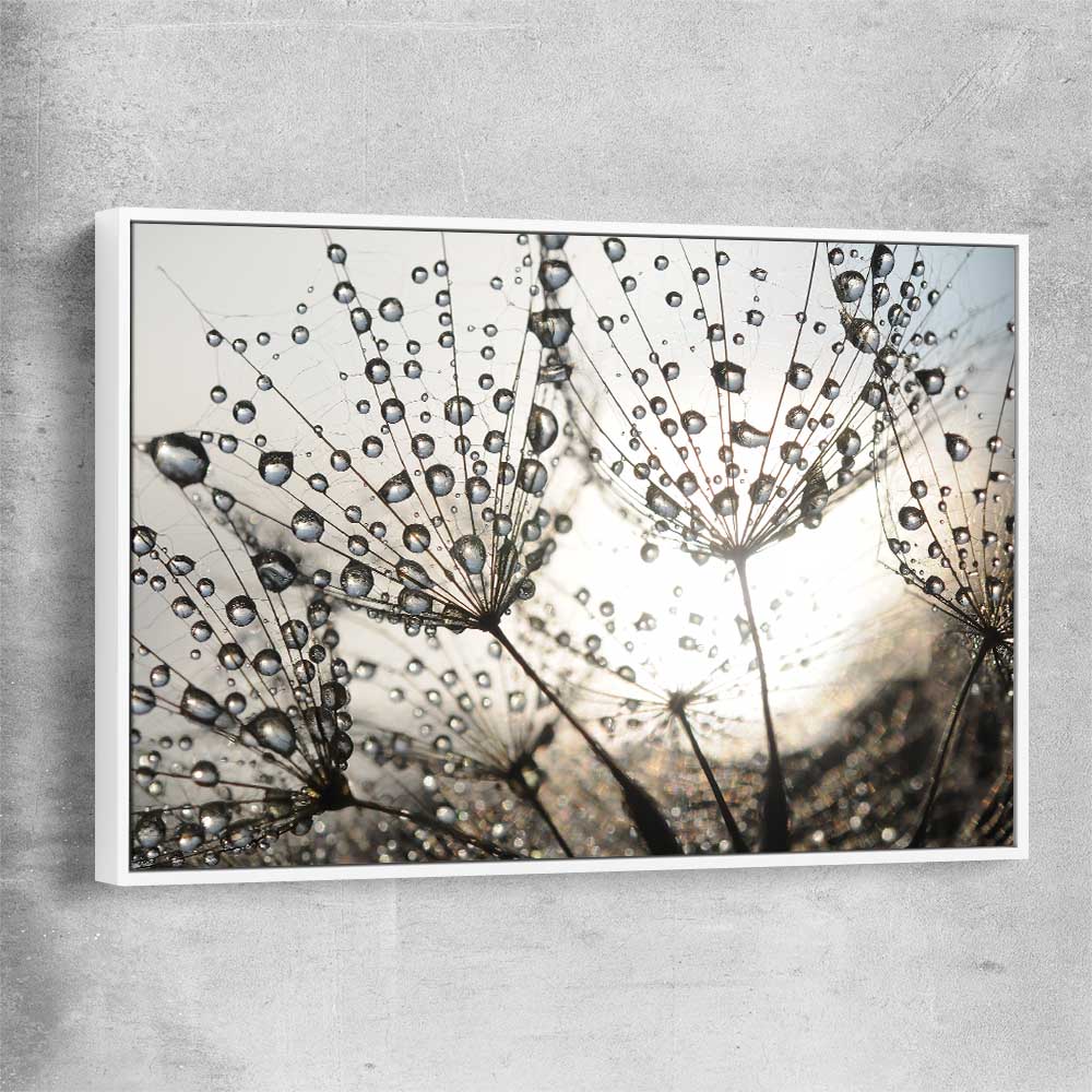 Floral print of Dandelion Seed Sunrise with white framed canvas