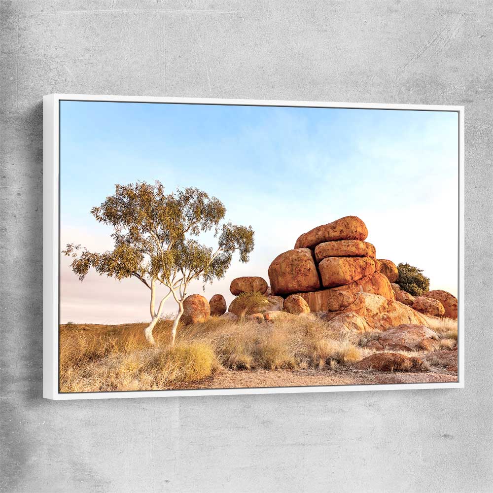Floral print of Devils Marbles with white framed canvas