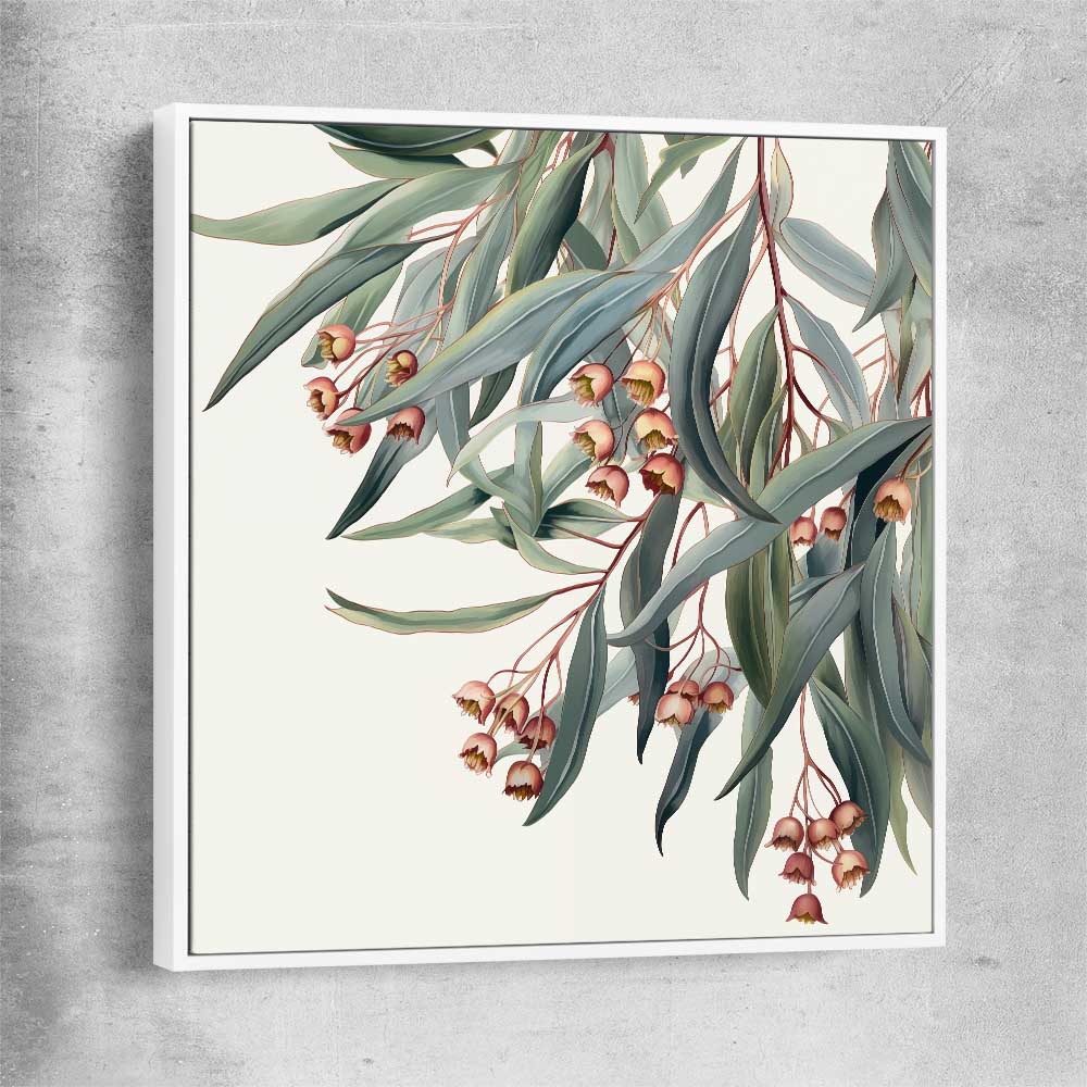Floral print of Eucalyptus Illustration with white framed canvas