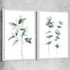 Floral print of Eucalyptus Pair One with white framed canvas