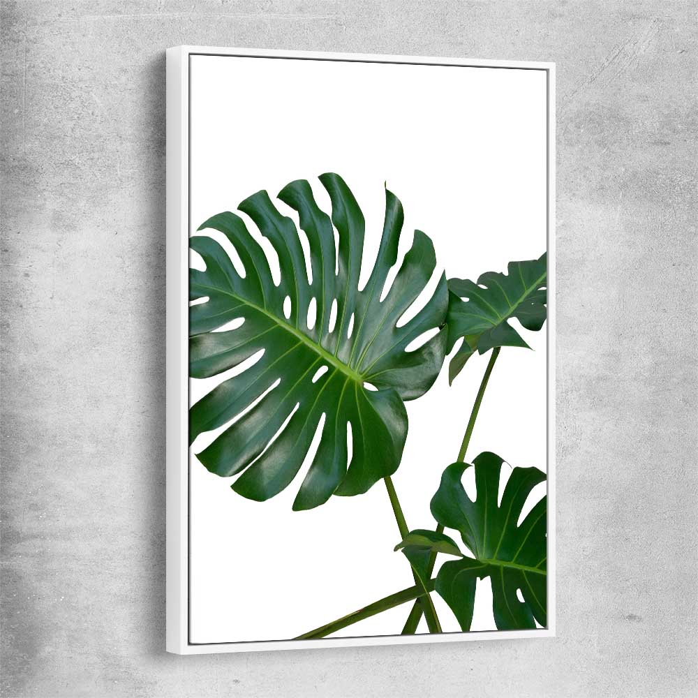 Floral print of Monstera Leaf Two with white framed canvas