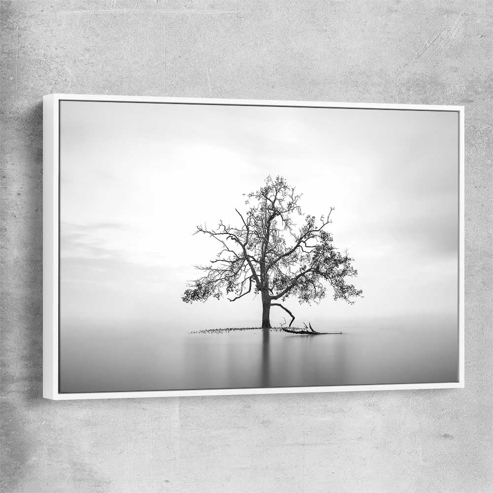 Floral print of Sole Mangrove with white framed canvas