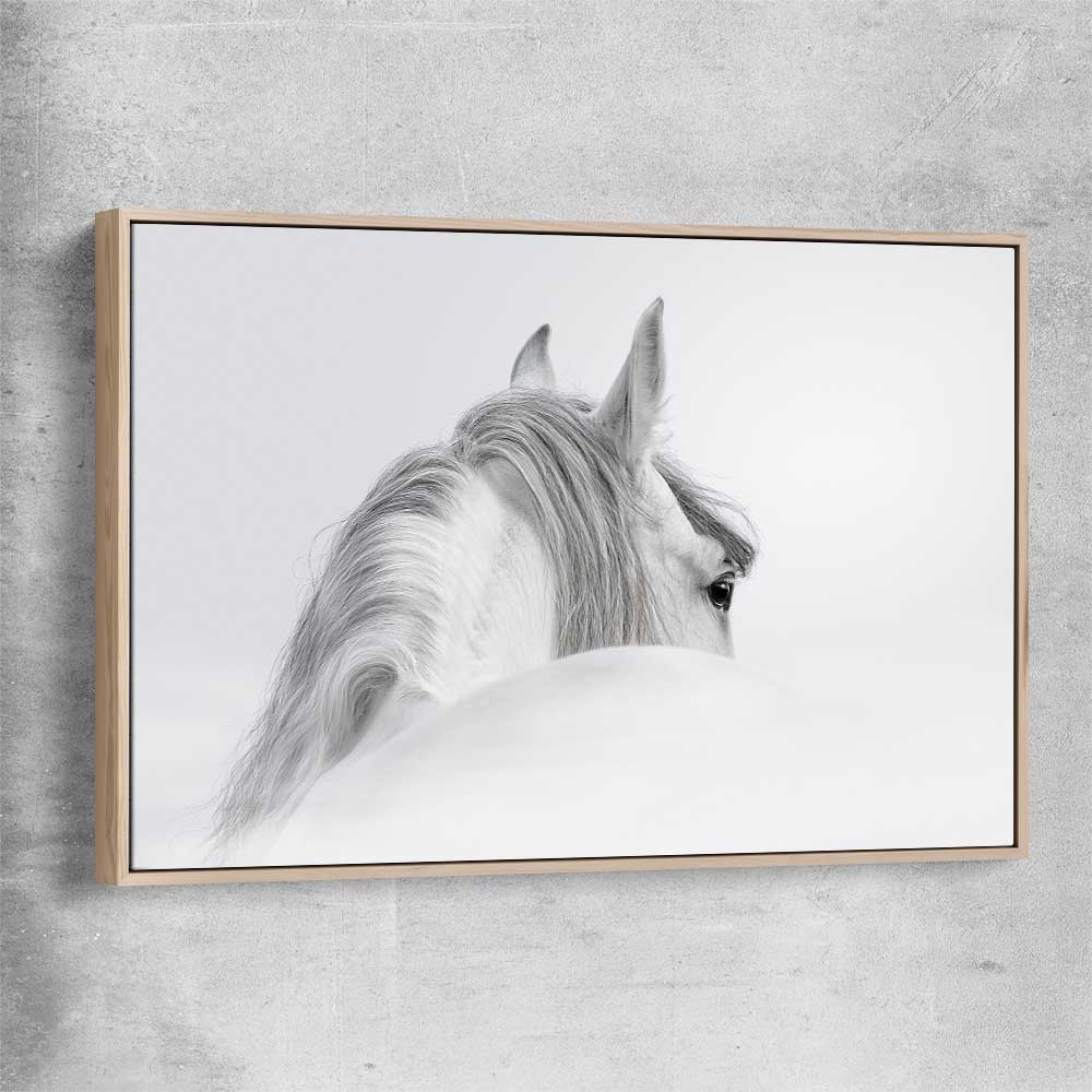 Animal wall art and canvas prints of Andalusian Horse with raw oak framed canvas